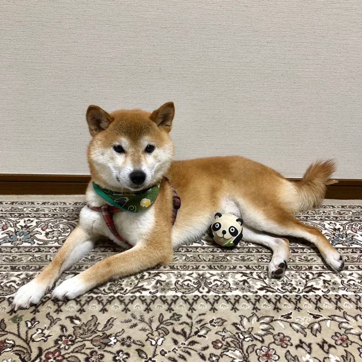 611e3afb 3694 404e a299 ae7b5d12a278 1532679606918