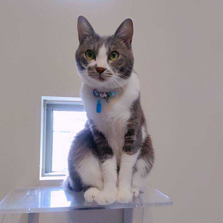 611e4263 6356 47c2 84aa e3a8df18c036 1665972776101