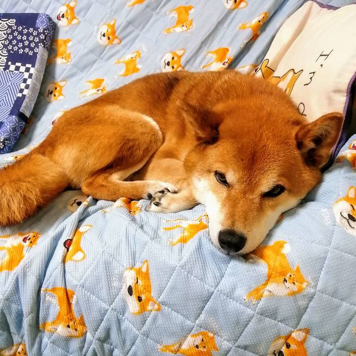 611e61b9 51eb 4def ac0f bed1c1f59fca 1621340990514