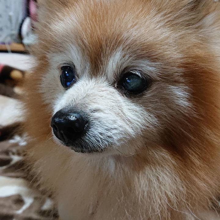 611e62b3 faa6 4571 bf95 16cd358a65af 1639909049570