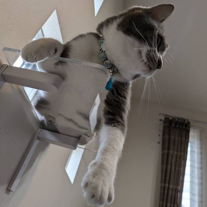 611e84ec afad 4361 8171 687cd46d8984 1727417689487