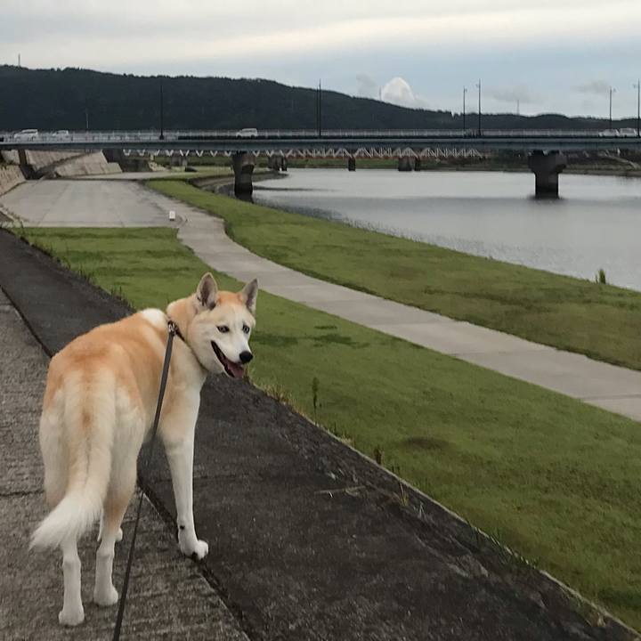 611ec936 afe9 4b6a b67e 18fd96425cef 1660867806264