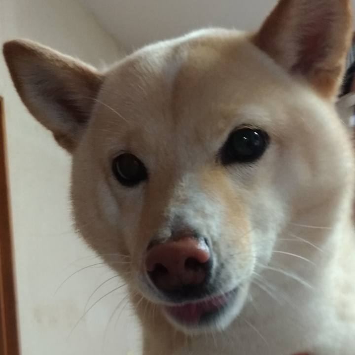 611ee32b 2d92 459b 84d3 a79d4dc117ec 1583360087743