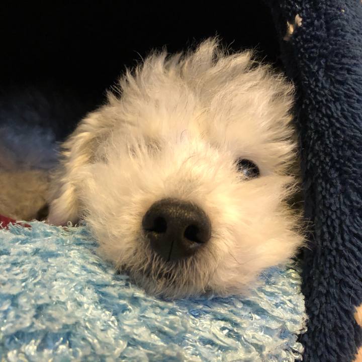 611f43a2 758f 40b3 a706 8173d2367957 1606953348198