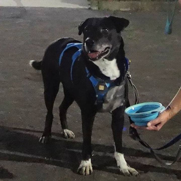 611f6999 5a7e 404b a290 92e815e9c157 1693479437107