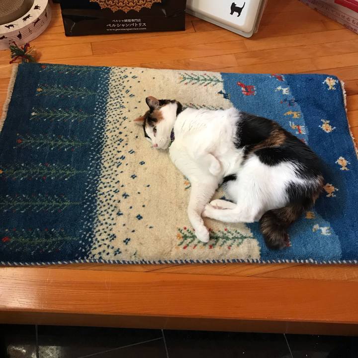 611f9982 52eb 4823 854c 2974e7f88dba 1550392139683