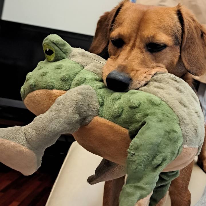 611fb28f 2ae7 4b92 abe1 4e20ab93686e 1758574069833