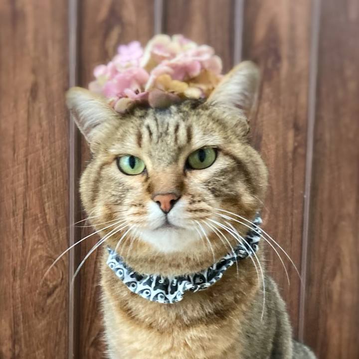 611fd456 83d8 4c6d 89c4 6014943bc429 1658882384832