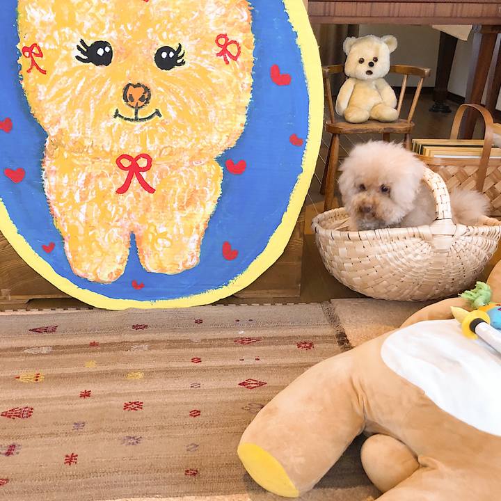 61203a86 d0b8 4a87 b1e9 8ff87ab67bd4 1537521354334