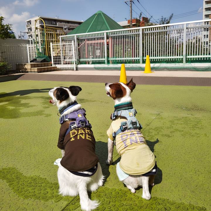 61205f0e 69c0 4bad aa01 3953a285969e 1725596633074