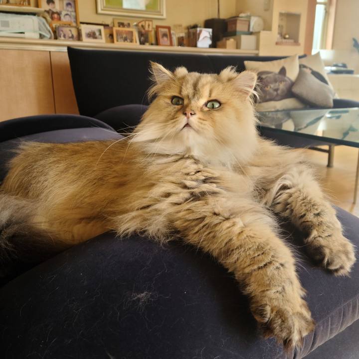 61207f1b 40d4 452c ab8a ccea06672077 1649204261164