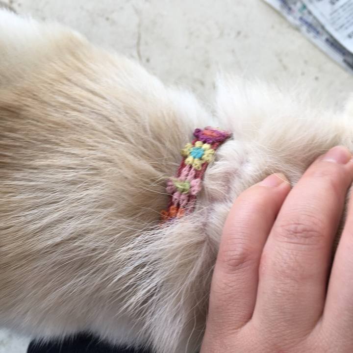 61208028 b193 400a 9995 e3f27ebcda20 1518245400183