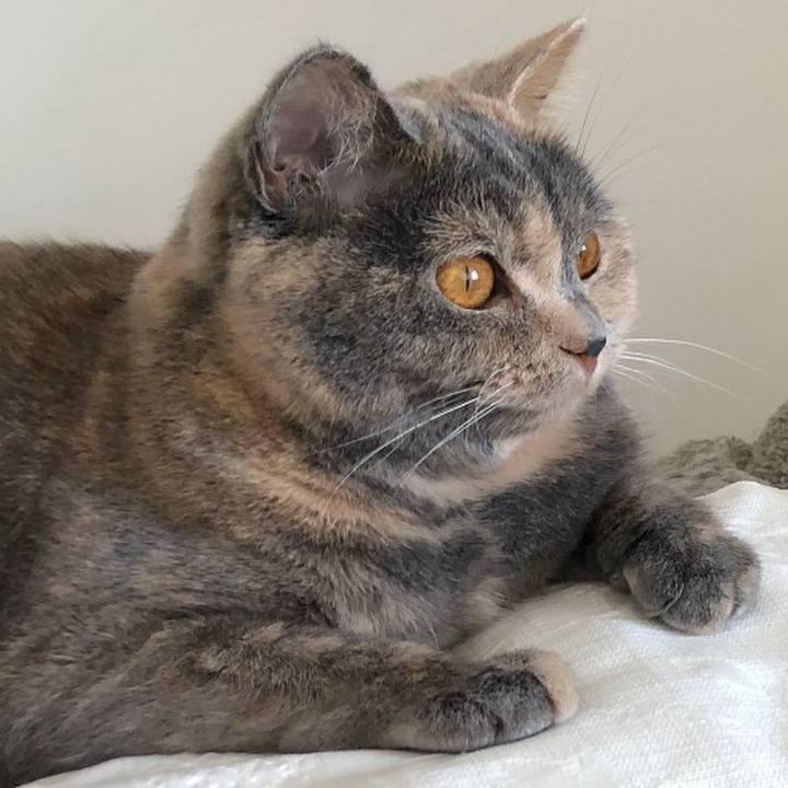 6120abf3 158a 4754 a93a 45e190316b6b 1771033554806