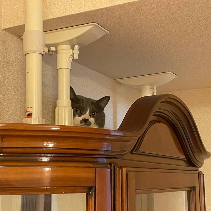 6120ac97 f21a 4392 a119 4b9ae9be5939 1627815996085