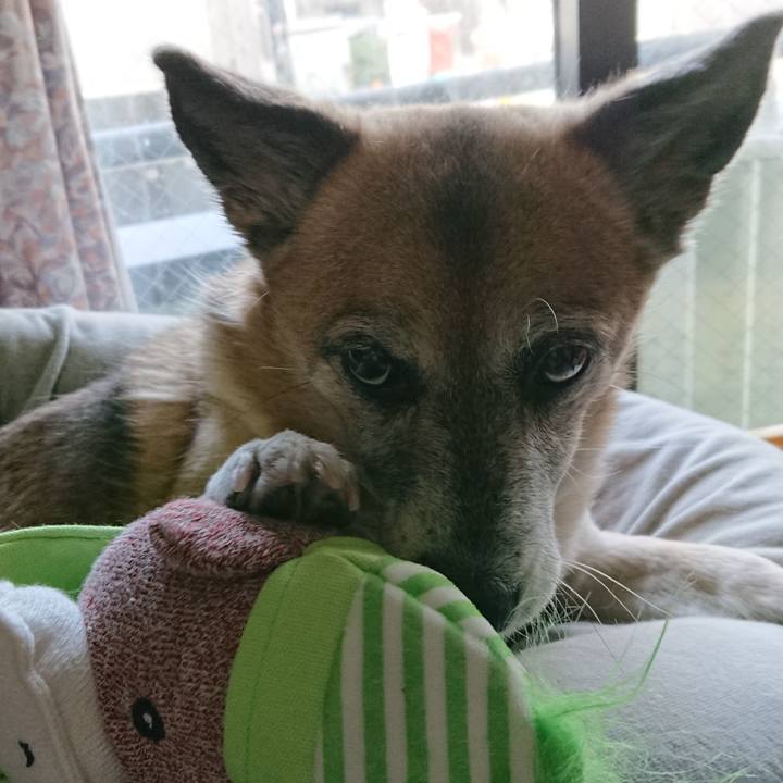 6120c1b9 017b 42df a10c 69428121a918 1522677655893