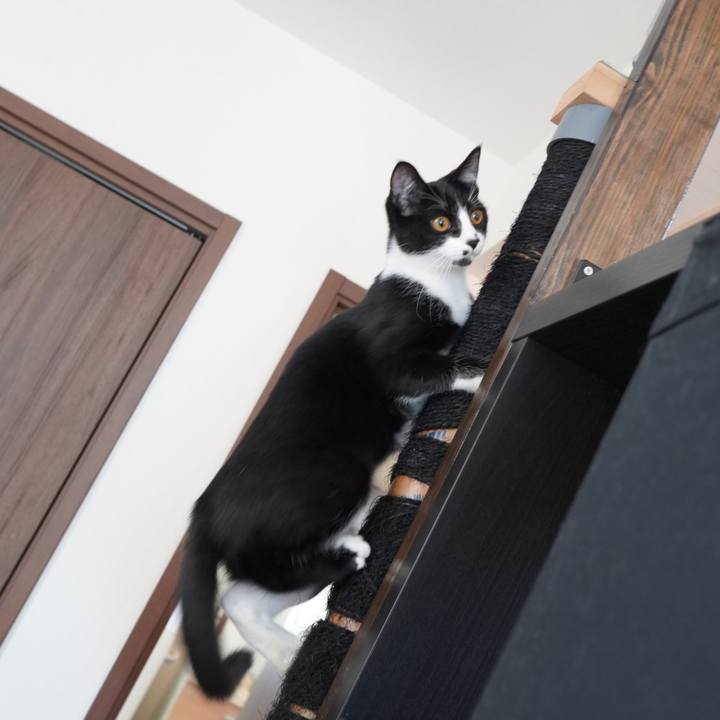 6120d1aa d593 4de1 9390 c0bc593b584b 1582967696752