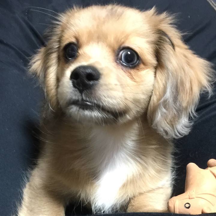 6120f242 50fd 4d26 9522 1a61661bedec 1672613965904