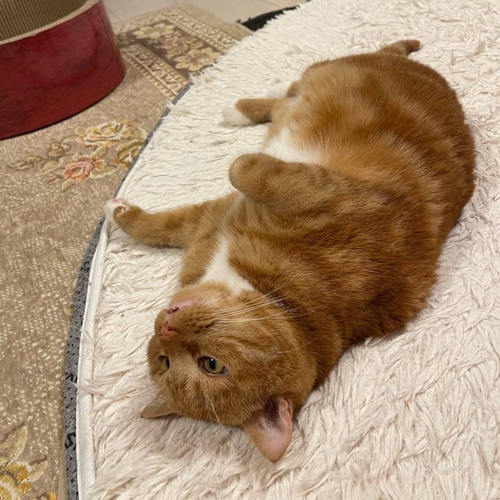 6120fac6 d923 4aaa a5b9 45cd50957909 1665834825662