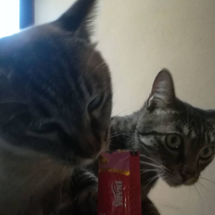 6120fbdb f237 4dfc 8bc8 50372da69aa7 1529228554597