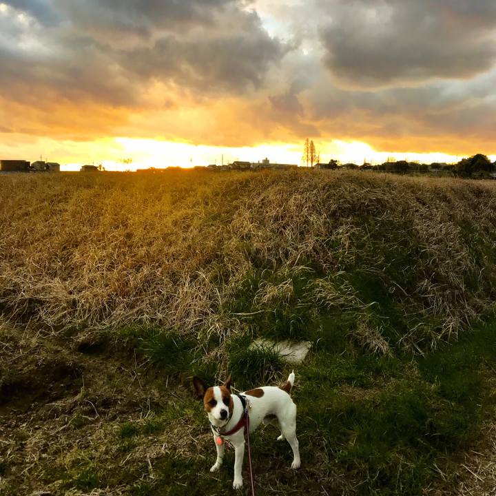 61212528 42b0 4d90 841f b1186756de24 1514289560359