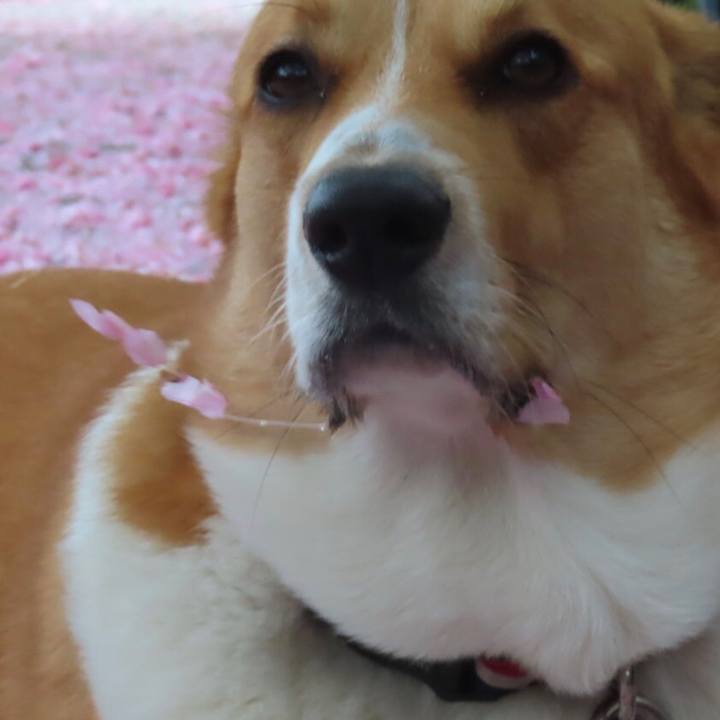 61212929 a04c 4400 9edf edf718fade7a 1650955945047