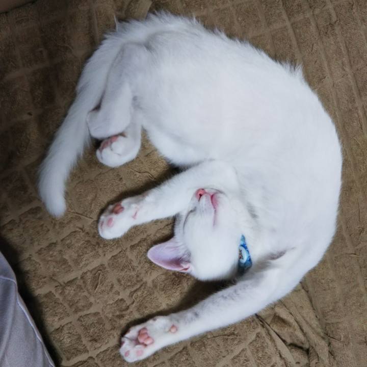 6121397f 5844 44cf b6bf ffc8bc5af90a 1627901709240