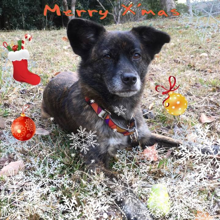 6121495a 88a2 4df8 80c4 fd828d27a348 1514085350269