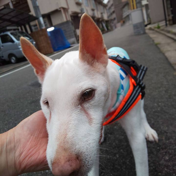 61215483 4c29 45c2 93d9 6ed22f048aec 1565775021676