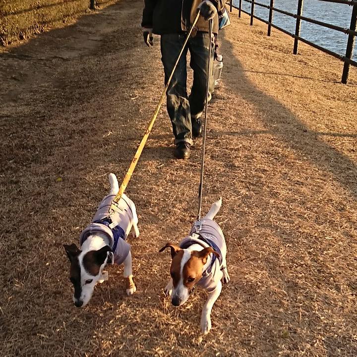 612182b3 e0e4 46dc 83ac e26203cdb2fd 1546418883649