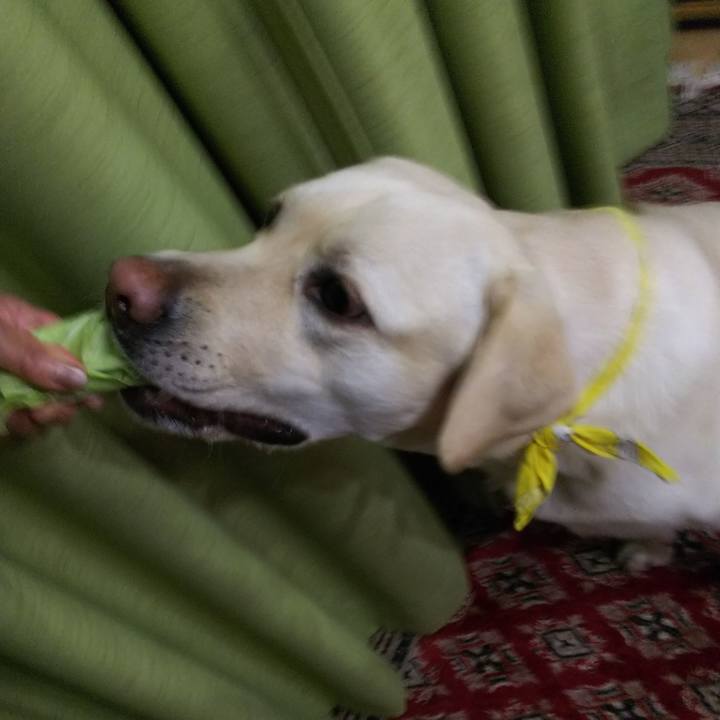 612187c5 6893 4b6b a0d1 cd27c45a142a 1517656463112