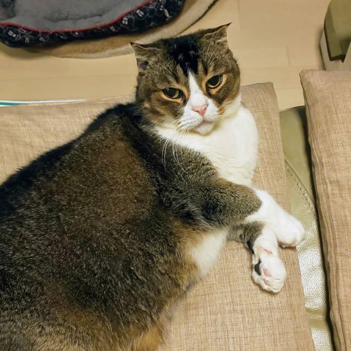 61218ac6 9b5d 4089 9215 2fe0de109e58 1743937090156