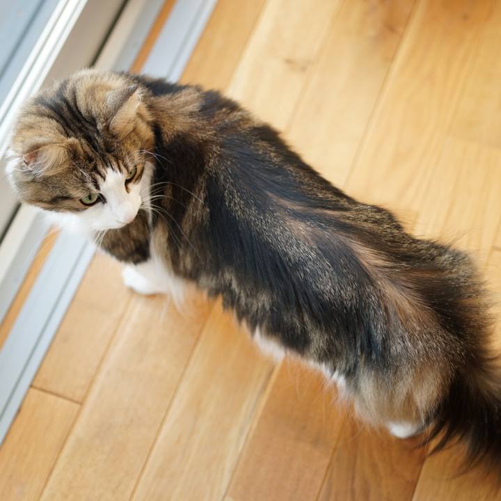 6121b11f 1ba5 4196 aa40 03bc8171961f 1572593574345