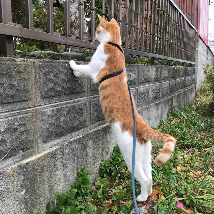 6121c7bd a6b4 4662 837d ccc7b2cc930f 1510639556268