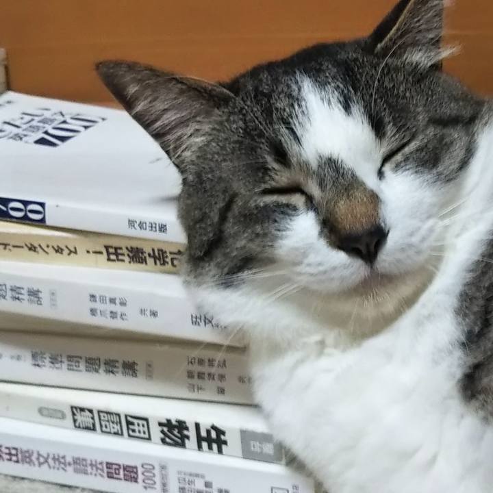 6121d843 a7a7 421b 8805 7ff88c521596 1622888085117