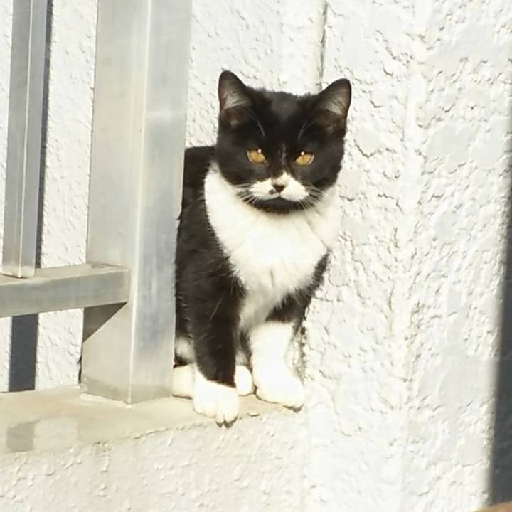 61221096 bc7d 47cf 9960 bf087e8a2018 1544588606083