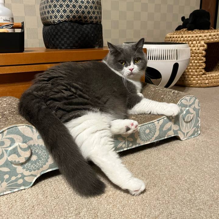 612219dd a655 4e01 8fff bddb123f3adb 1660736721926