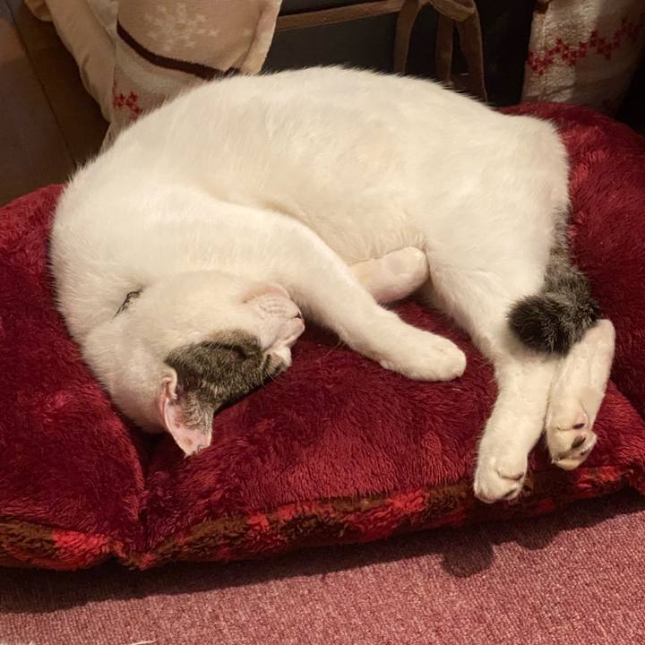 6122251f 2eb4 4712 ad56 5881cd52f4cc 1636433117667