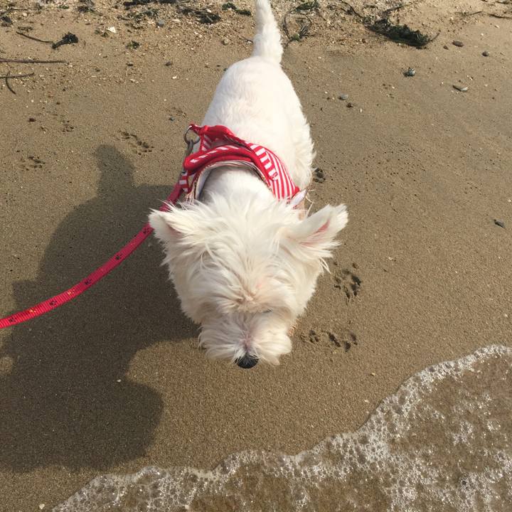 61222fdf b38a 4d2f b85c 4228a5ccb3db 1509602154903