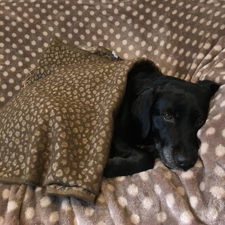 61226d70 080c 49bc a8fe 3e0d8ea56f3a 1515888655218