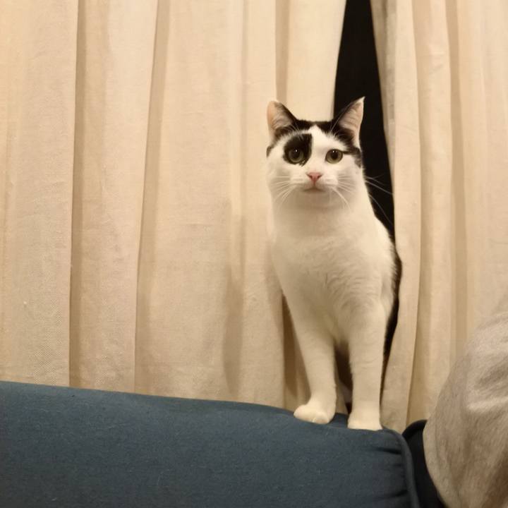 6122af58 fd29 4bfa b4ce 0d9d3dfea66d 1518534563306