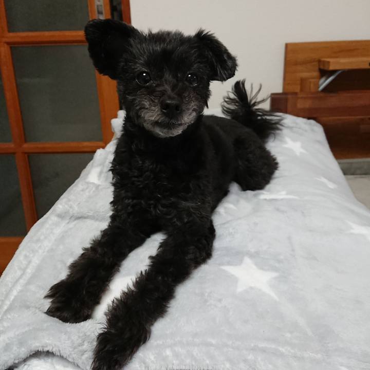 6122d62b 44df 4ce5 960a 0db40812600e 1575114677271