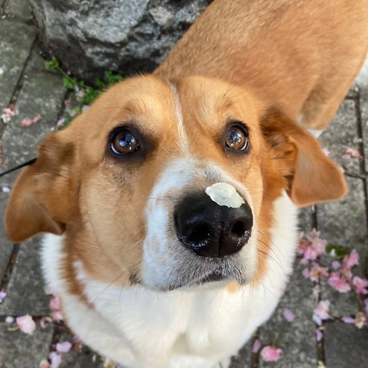 6122e24f 5f18 4ddd a8aa 6afb6ede8c97 1681344033622