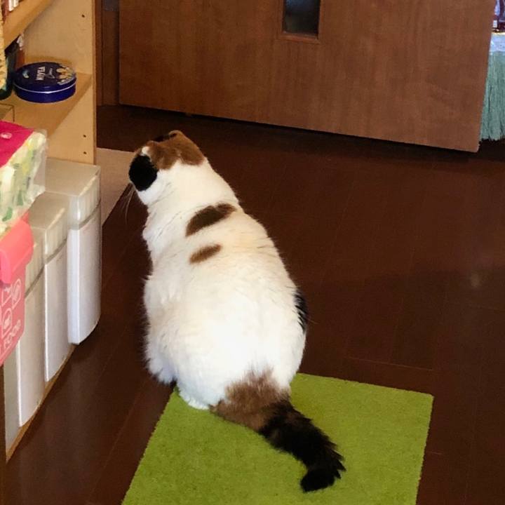 6123113d 68c8 40d0 97de 32eb2a29c010 1564404714545