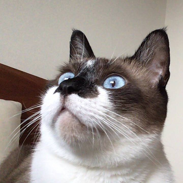 6123152a bee0 448b a061 eae2fc6ee88f 1529992254397