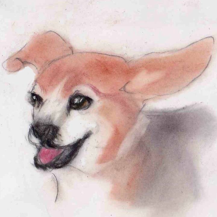 6123289d db7f 45aa a8e3 bfa54b9da00c 1640053822252