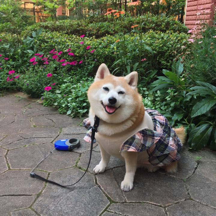 6123877a bd78 42d4 bfe0 d32bc6d090d9 1623232089106