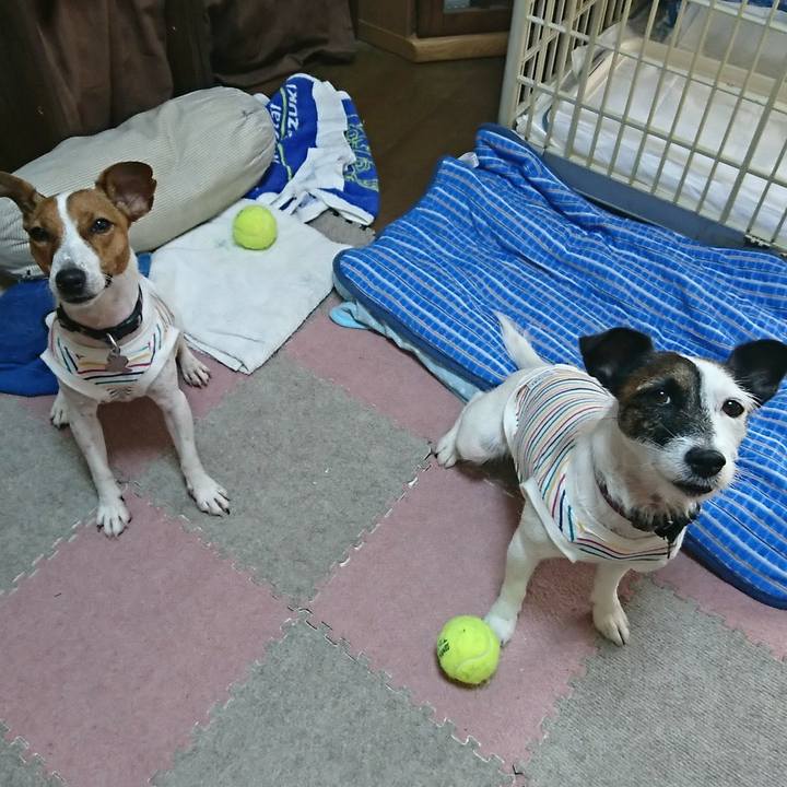 6123b5ab 3ff7 4e87 8053 0ed4c02b686d 1532643991632