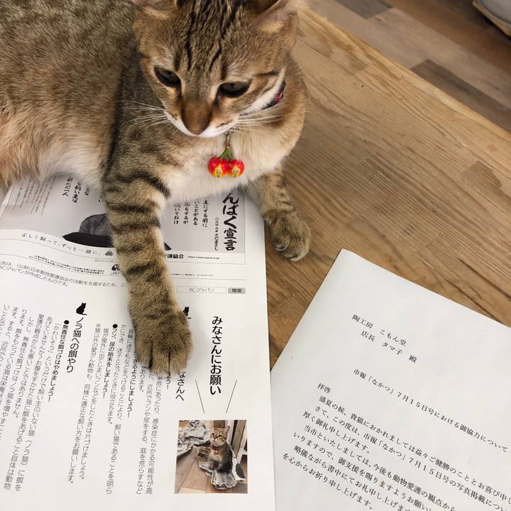 6123c74c 9838 4581 bcf4 74ee1debe920 1595500766583