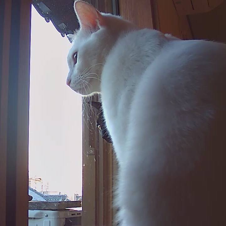 6123ccb5 d067 439d a885 45202f4cdee8 1525437900921