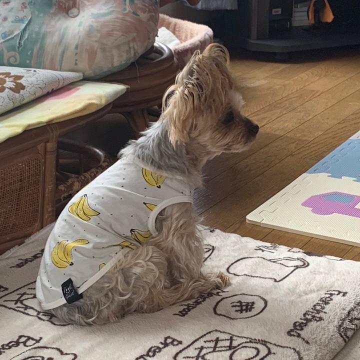 6123cf52 2162 4355 8d3d 64457e10642d 1649842510026